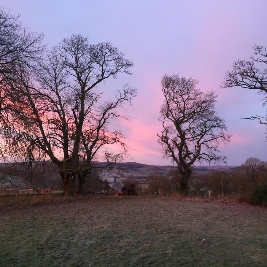 Scottish Organic Farm Cottage Closeburn Exterior photo